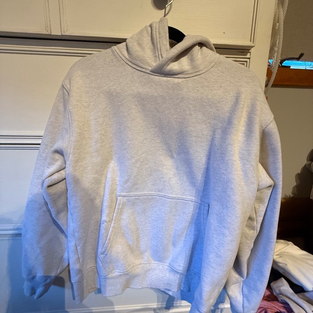 Aritzia hoodie
